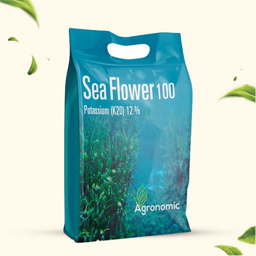 Seaweed Extract